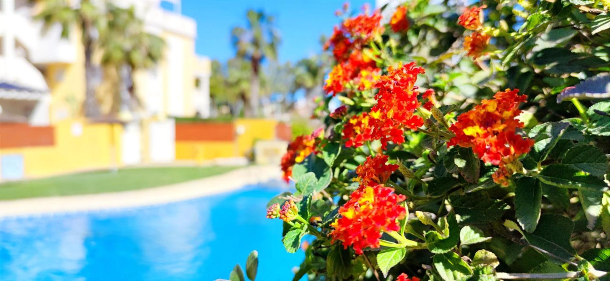 Apartamento Playa Sol By Denia Costa Extérieur photo
