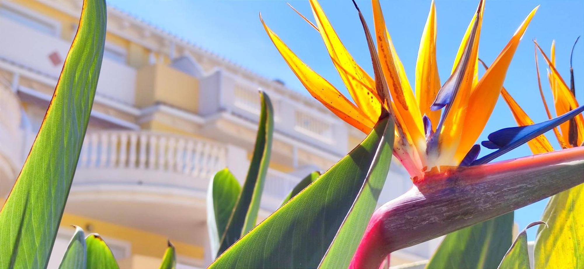 Apartamento Playa Sol By Denia Costa Extérieur photo